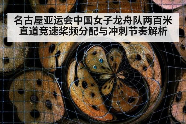 名古屋亚运会中国女子龙舟队两百米直道竞速桨频分配与冲刺节奏解析